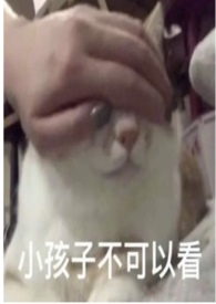 圈养蔷薇(纯百骨科np)